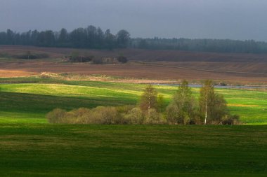 Gündüz vakti güzel yaz manzarası