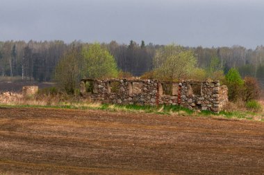 Harabeler ve yaz manzarası.