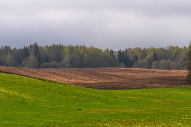 Gündüz vakti güzel yaz manzarası
