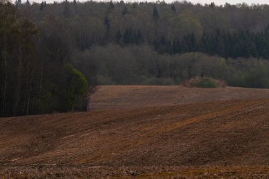 Gündüz vakti güzel yaz manzarası