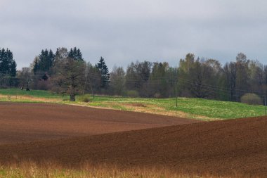 Gündüz vakti güzel yaz manzarası 
