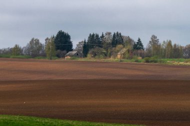 Gündüz vakti güzel yaz manzarası 