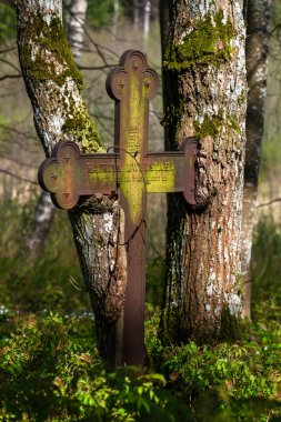 Ormanda eski paslı haç