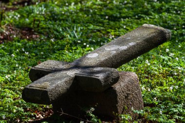 Ormanda eski bir taş haç