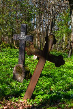 Yeşil ormanda eski haçlar