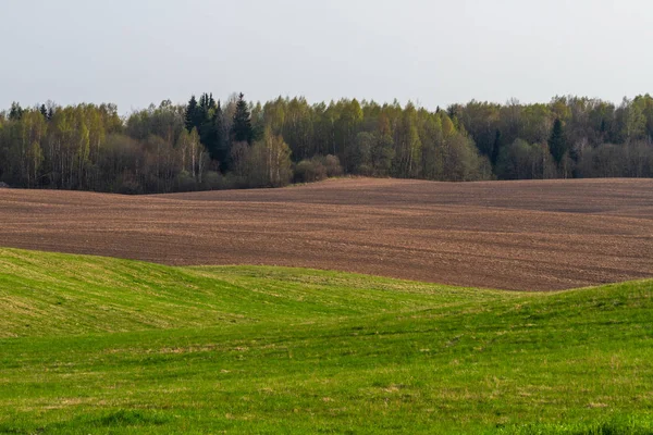 Mezőgazdasági Terület Napsütéses Napon — Stock Fotó