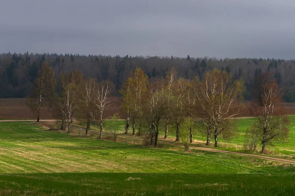 Piękny Letni Krajobraz Dzień — Zdjęcie stockowe