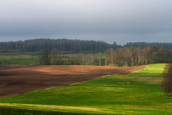 Linda Paisagem Verão Durante Dia — Fotografia de Stock