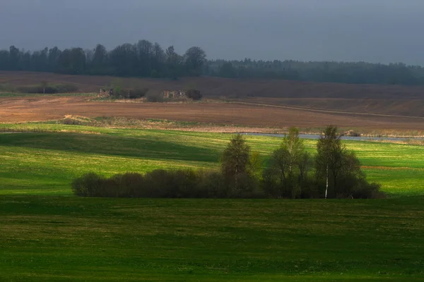 Beautiful Summer Landscape Daytime — Stock Photo, Image