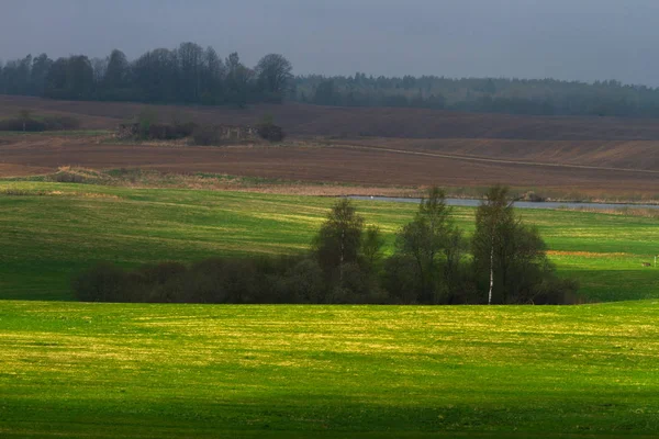 Mezőgazdasági Terület Közelében Erdő Napsütéses Napon — Stock Fotó
