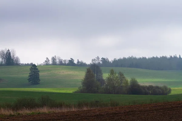 Piękny Letni Krajobraz Dzień — Zdjęcie stockowe