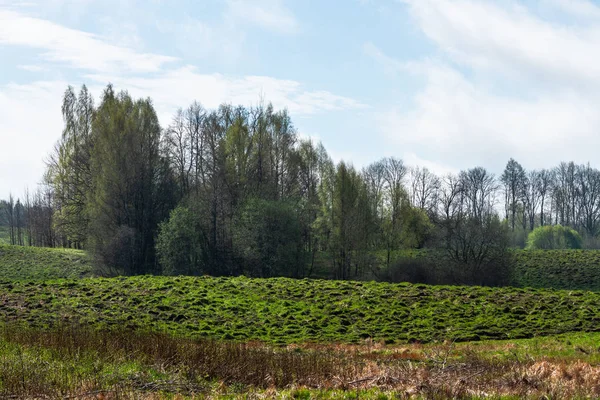 Beautiful Summer Landscape Daytime — Stock Photo, Image