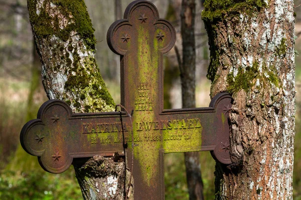 Старый Ржавый Крест Лесу — стоковое фото