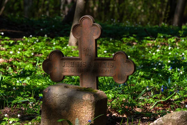 Oud Geroest Kruis Bos — Stockfoto