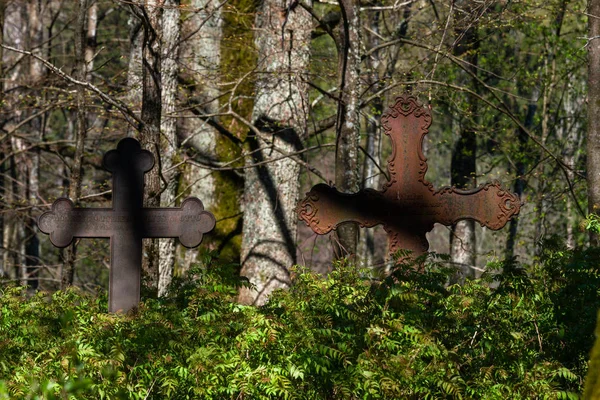 Old rusted crosses in forest