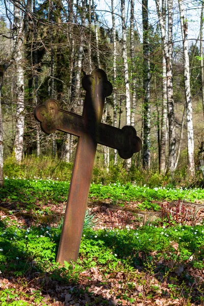 Vieja Cruz Oxidada Los Bosques — Foto de Stock