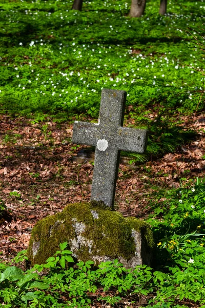Old Rusted Cross Forest — Stock Photo, Image