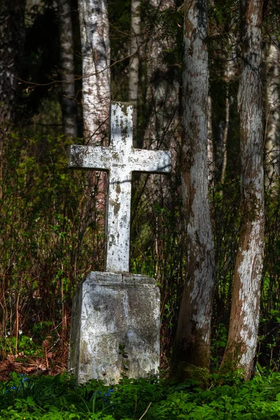 森林里旧的生锈的十字架 — 图库照片