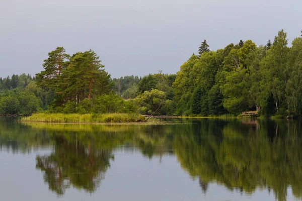 Beautiful Landscape River Forest — Stock Photo, Image