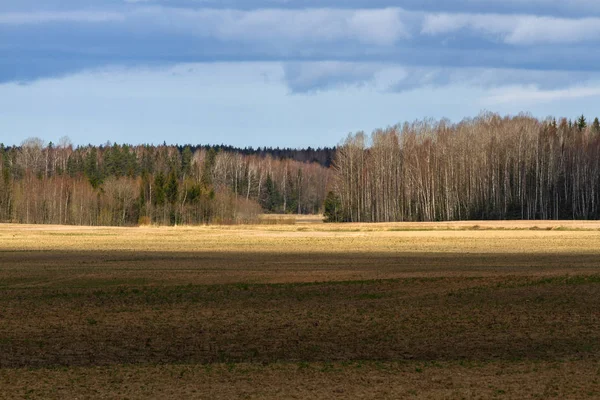 Beautiful Northern Landscape Daytime — Stock Photo, Image