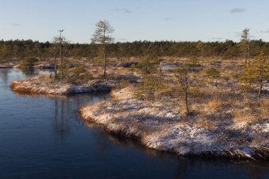 Gündüz vakti kar yağan güzel kuzey manzarası