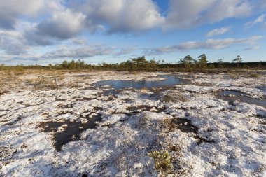 Gündüz vakti kar yağan güzel kuzey manzarası