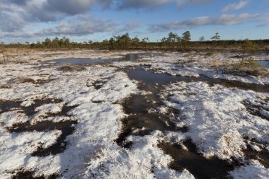 Gündüz vakti kar yağan güzel kuzey manzarası