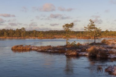 Gündüz vakti kar yağan güzel kuzey manzarası