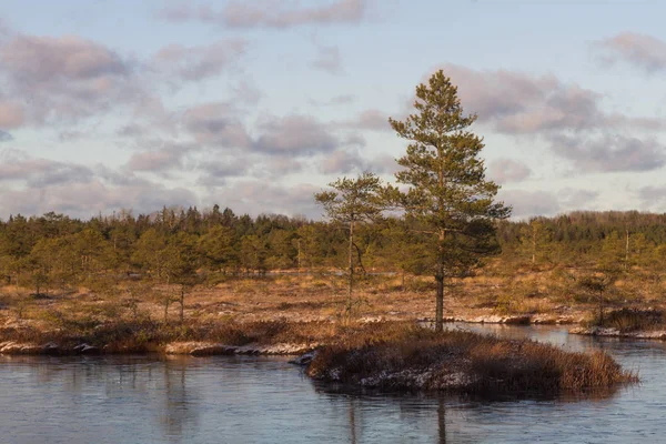 Vackert Nordligt Landskap Med Snö Dagen — Stockfoto