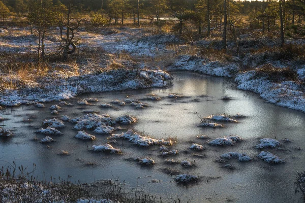 Linda Paisagem Norte Com Neve Durante Dia — Fotografia de Stock