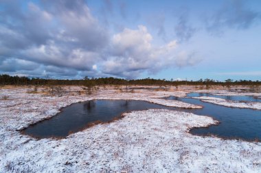 Karlı güzel kuzey manzarası