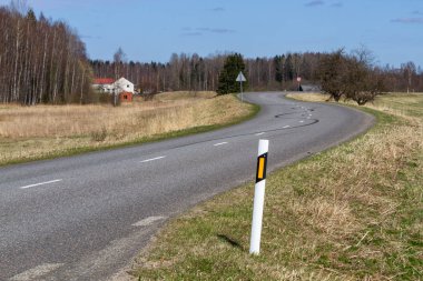 Asfalt yolu gün içinde ormanın yanında
