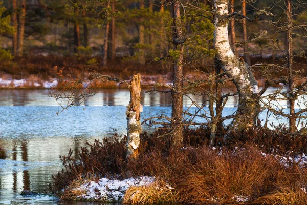 Hermoso Paisaje Del Norte Con Nieve — Foto de Stock