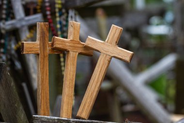 Bir sürü haçı olan eski Hıristiyan mezarlığı