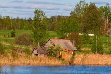 Güneşli bir günde güzel kırsal alan