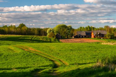 Güneşli bir günde güzel kırsal alan