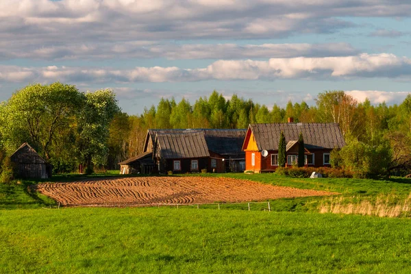 Güneşli bir günde güzel kırsal alan