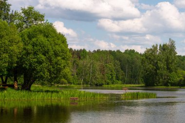 Güzel manzara nehir ve orman