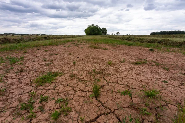 Yeşil çimenli kuru toprak