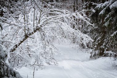 kış sezonu karlı manzara