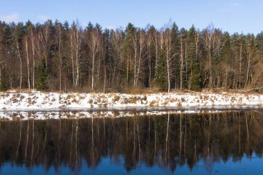 Nehir ve ormanın kış manzarası