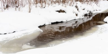 Nehir ve ormanın karlı kış manzarası