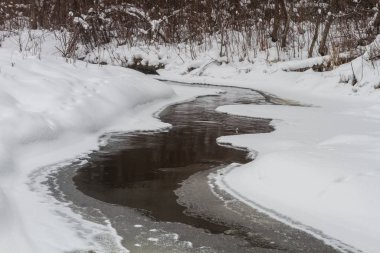 Nehir ve ormanın karlı kış manzarası