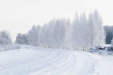 Snowy road at winter season