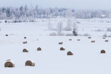 Saman balyalarıyla karlı kış manzarası
