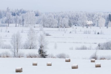 Saman balyalarıyla karlı kış manzarası