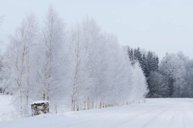 Snowy road at winter season