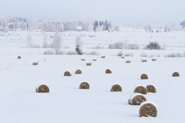 Saman balyalarıyla karlı kış manzarası