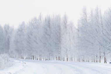 Snowy road at winter season
