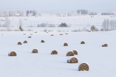 Saman balyalarıyla karlı kış manzarası